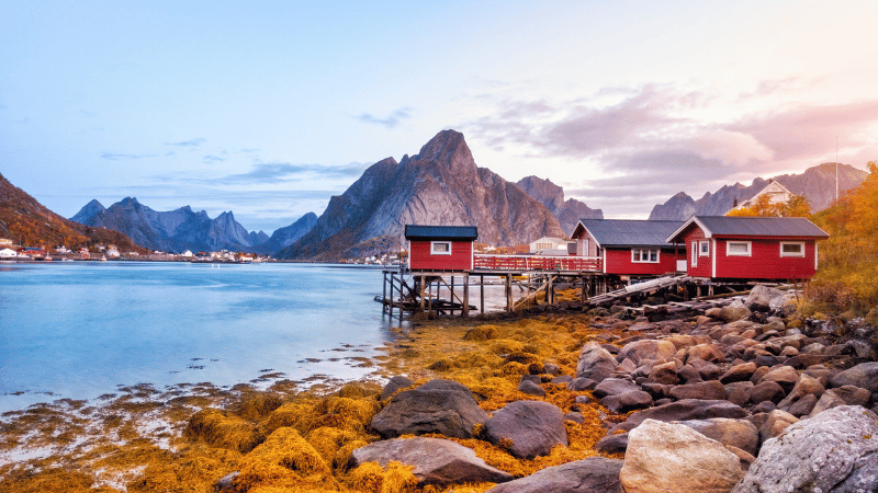 norwegian_fjord_landscape